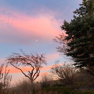 Meet your Posher, Devin